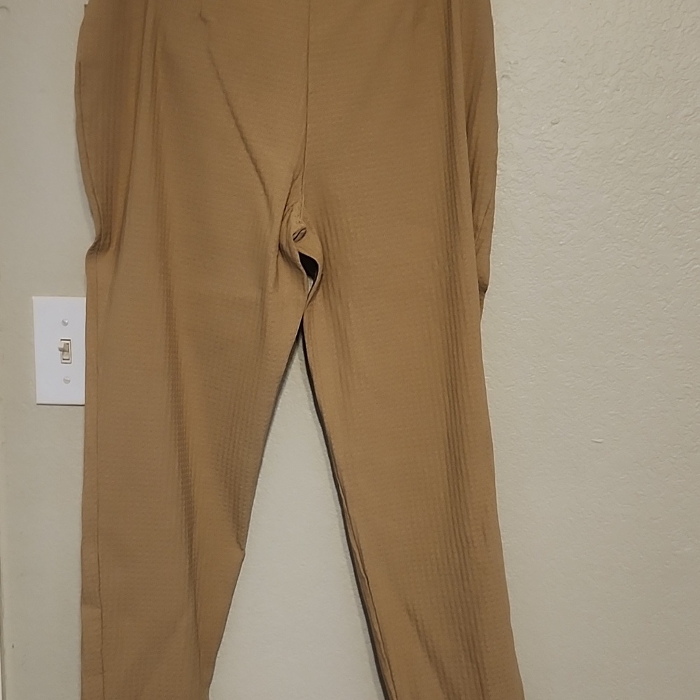 Tan High-Waisted Pants - Picture 3 of 3